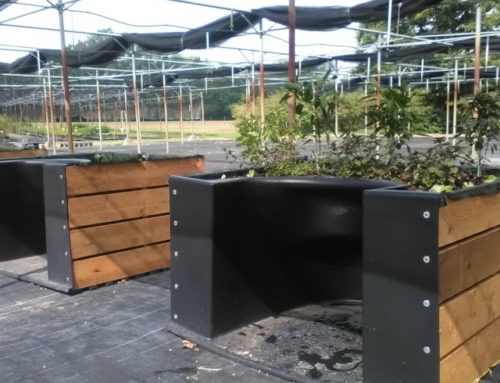 Progetto “Frutti per Tutti”