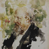 19-novembre_F_3170