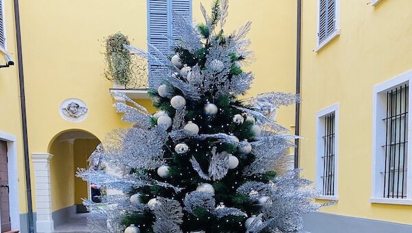 IMG_6373-3